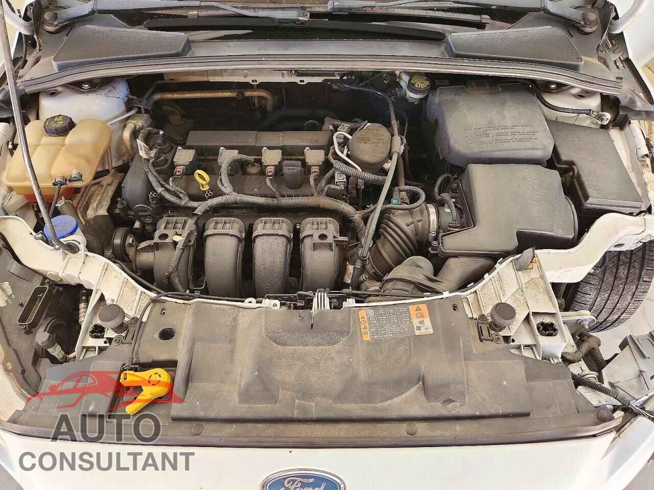 FORD FOCUS 2015 - 1FADP3F23FL218504