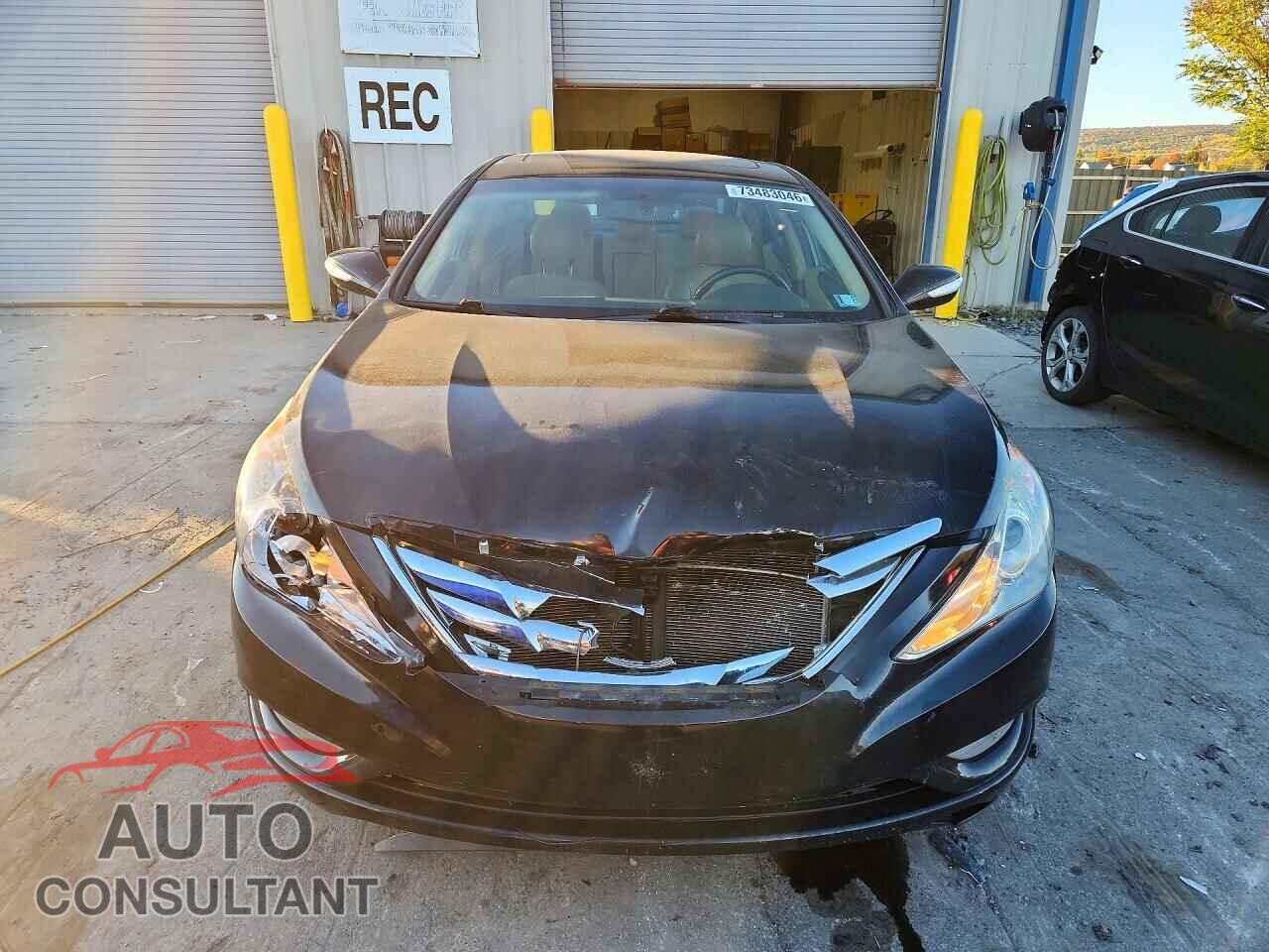 HYUNDAI SONATA 2013 - 5NPEC4AC1DH511559