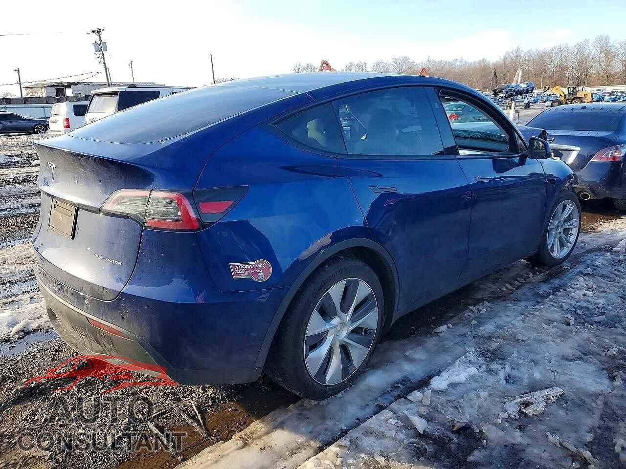 TESLA MODEL Y 2023 - 7SAYGAEE4PF897654