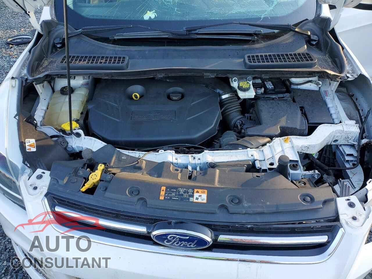 FORD ESCAPE 2016 - 1FMCU9J98GUA85252