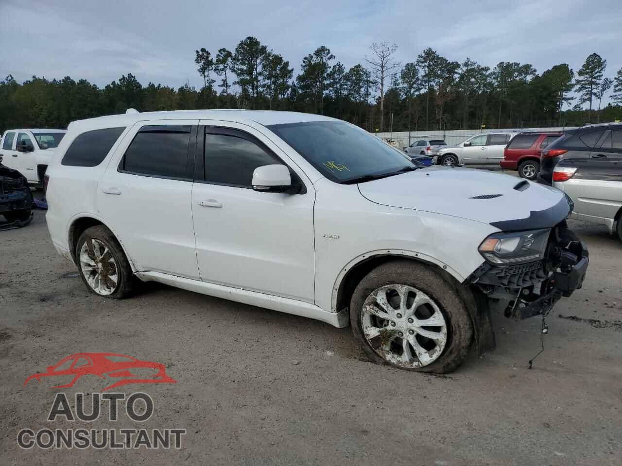 DODGE DURANGO 2019 - 1C4SDJCT4KC812105
