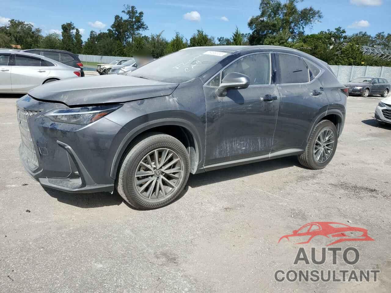 LEXUS NX 350H BA 2024 - JTJGKCEZ7R5013519