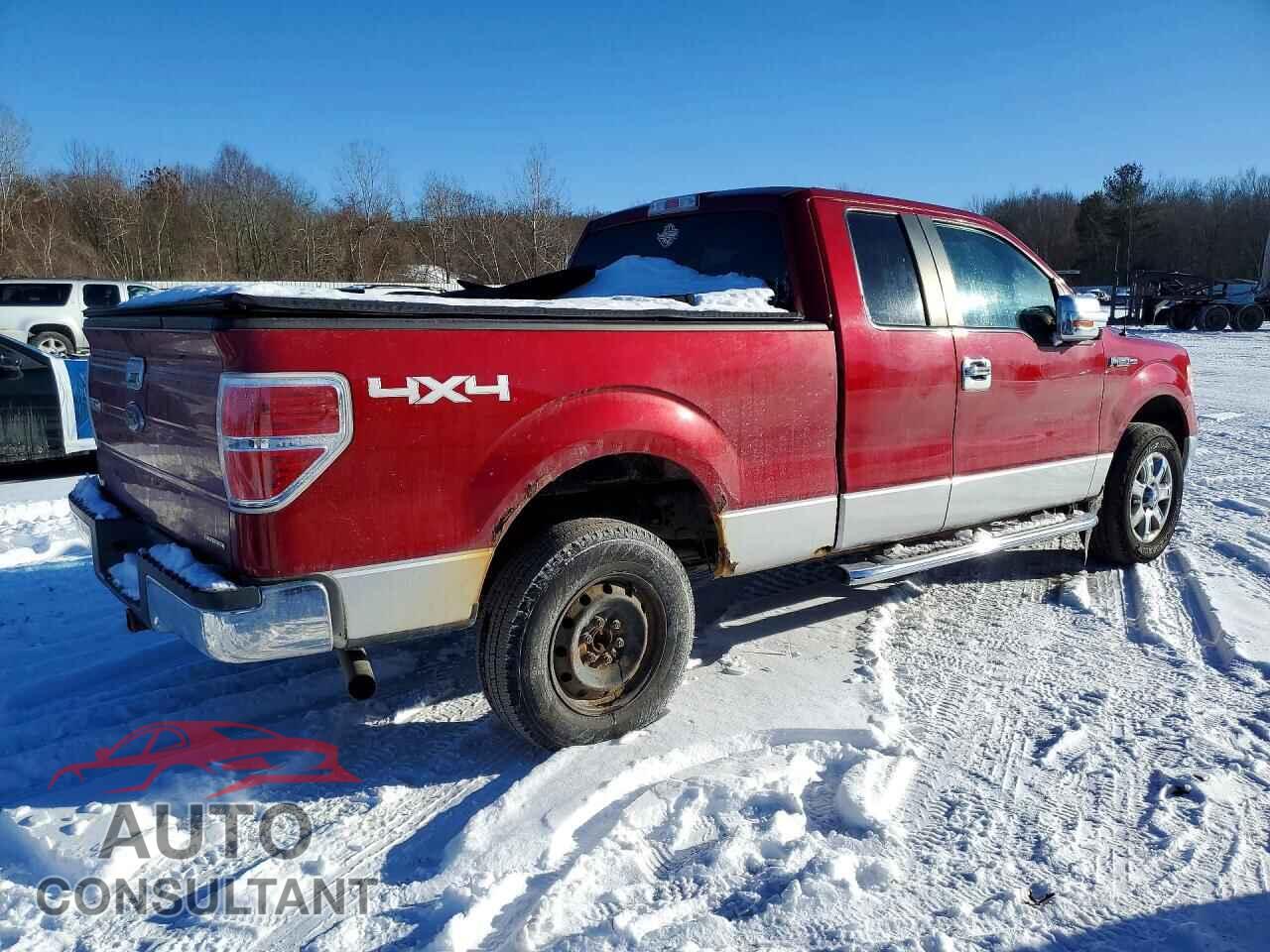 FORD F-150 2013 - 1FTFX1EF3DFD31859