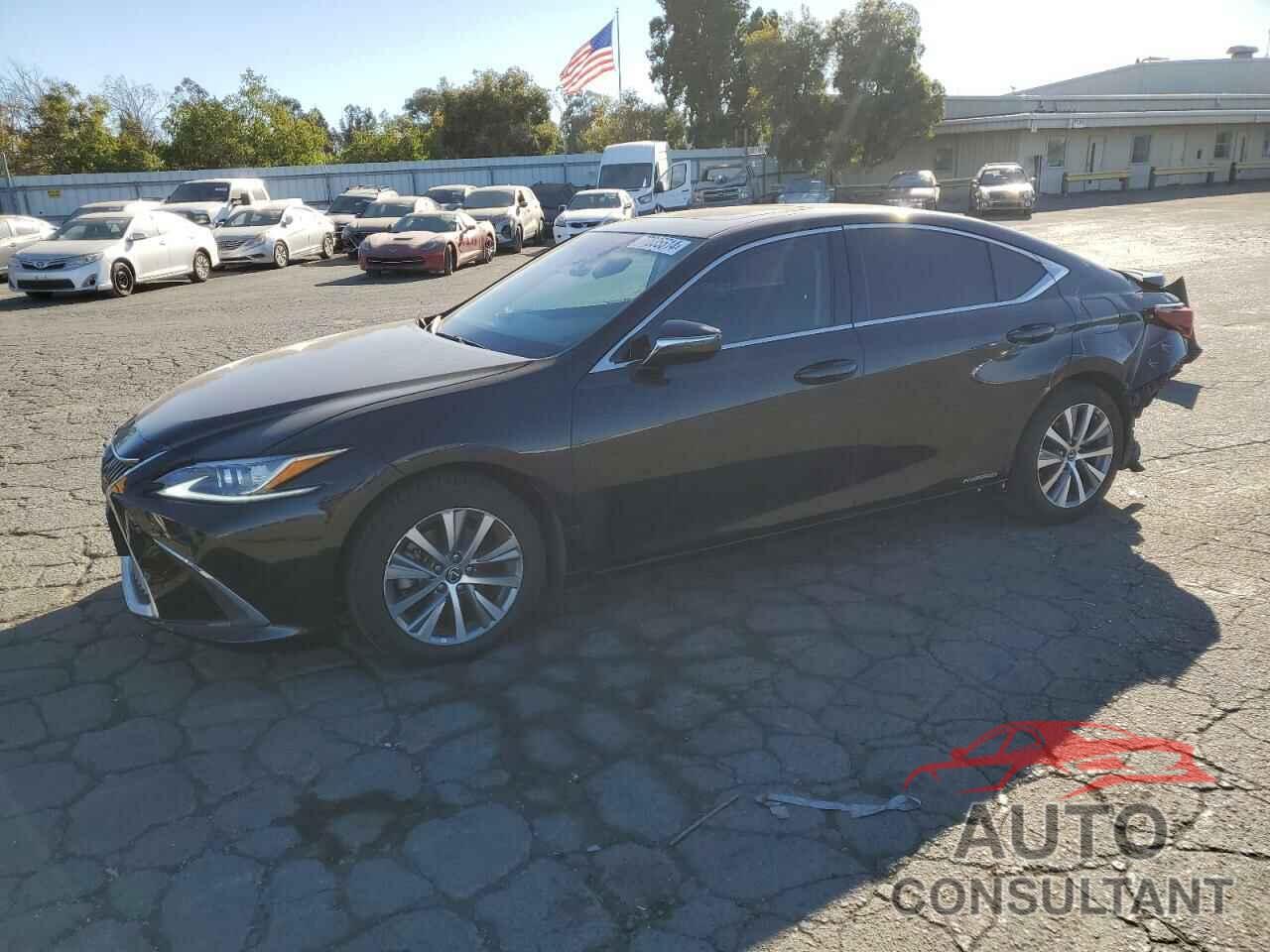 LEXUS ES300 2021 - 58ACA1C1XMU001292