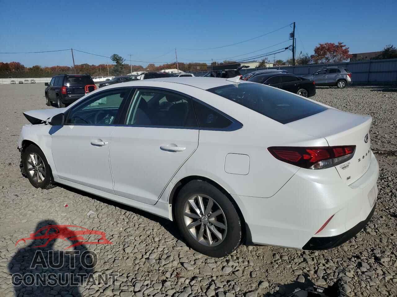 HYUNDAI SONATA 2019 - 5NPE24AF2KH797609