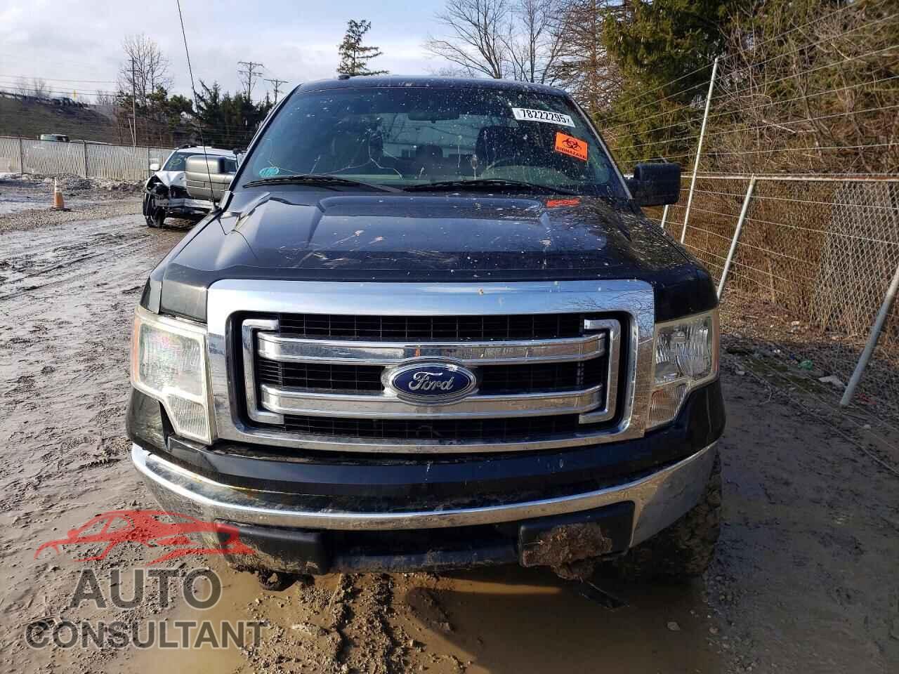 FORD F-150 2013 - 1FTFX1EF3DFD50539
