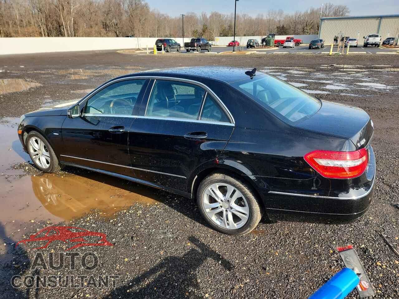 MERCEDES-BENZ E-CLASS 2011 - WDDHF2EB0BA344891