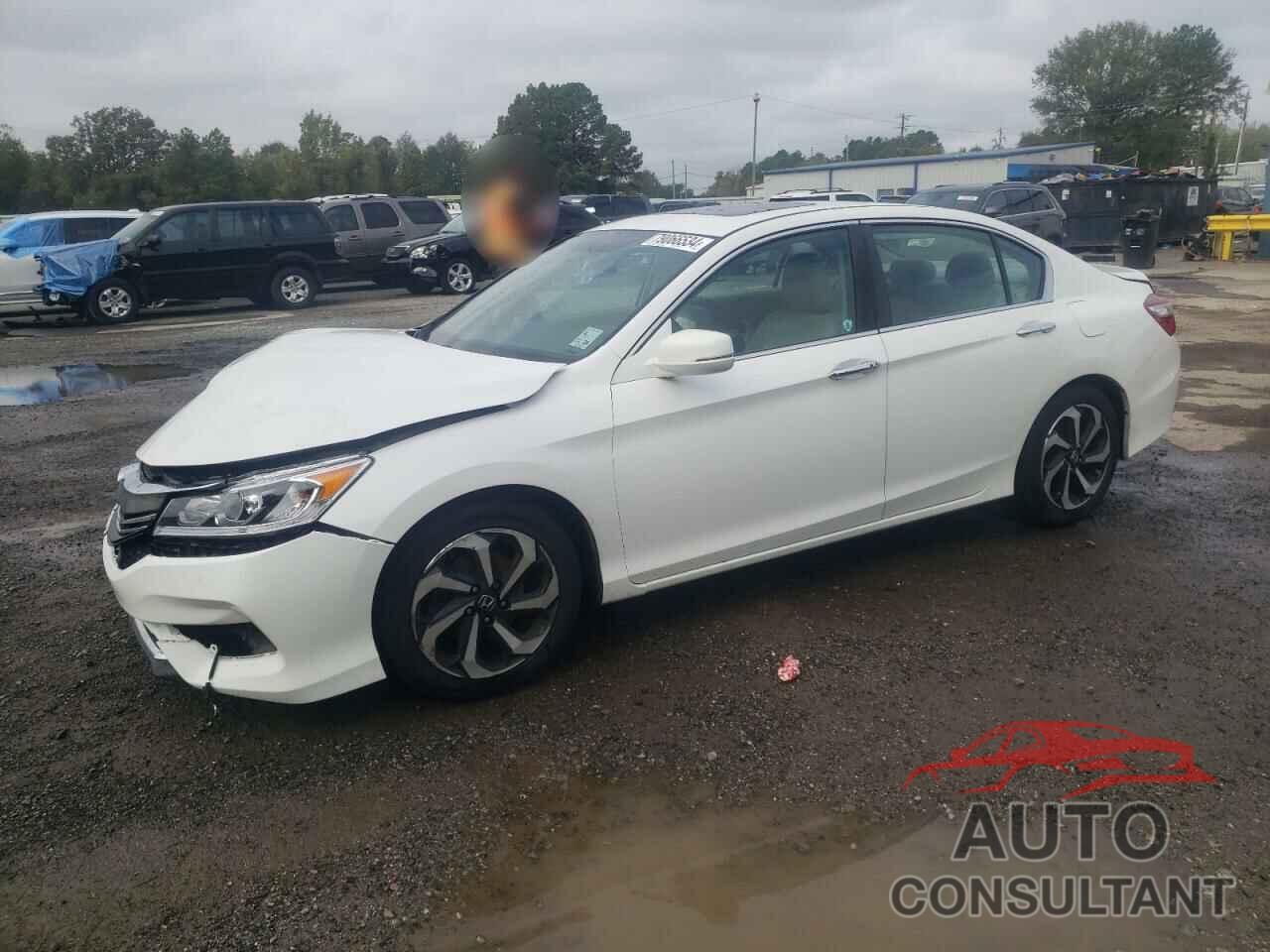 HONDA ACCORD 2016 - 1HGCR2F7XGA007496