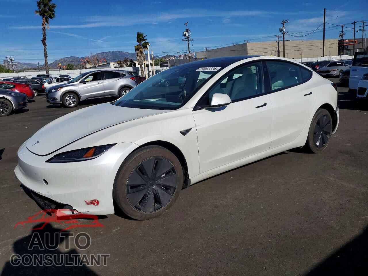 TESLA MODEL 3 2024 - 5YJ3E1EA2RF828801