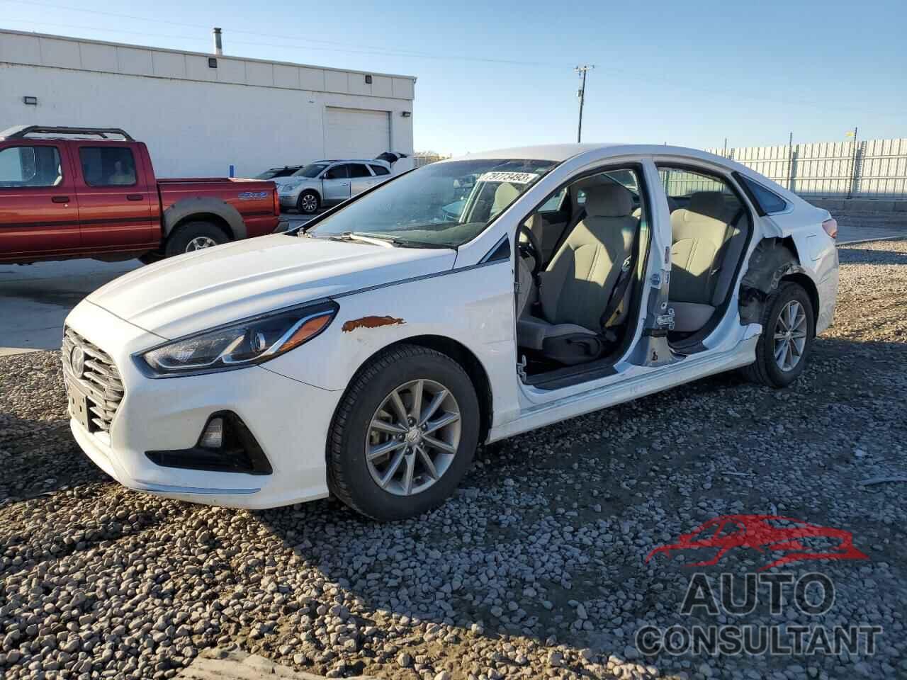 HYUNDAI SONATA 2019 - 5NPE24AF0KH774698