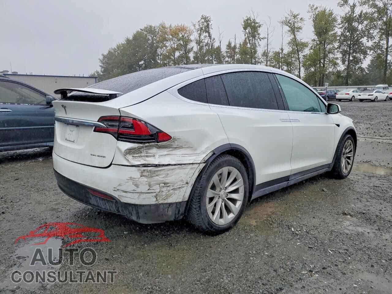 TESLA MODEL X 2019 - 5YJXCDE22KF181971