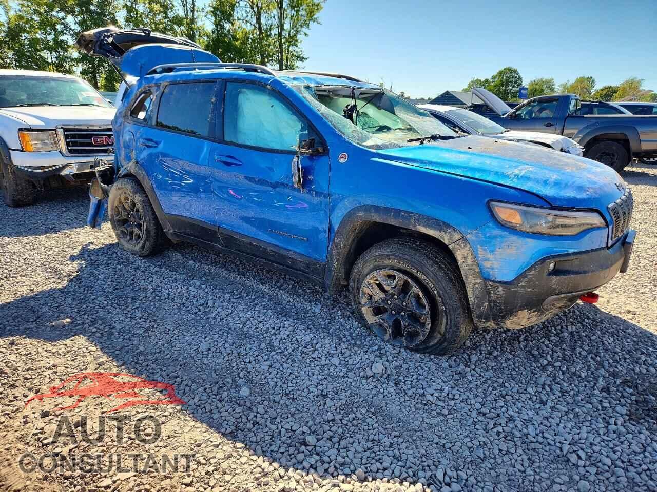 JEEP CHEROKEE 2020 - 1C4PJMBX4LD544155