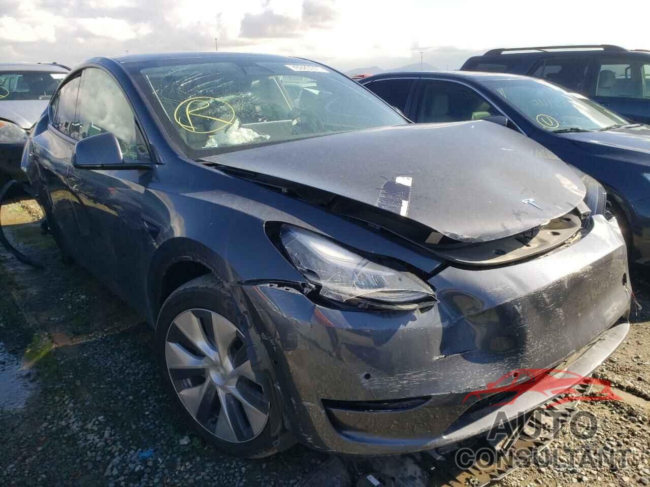 TESLA MODEL Y 2021 - 5YJYGAEEXMF150181