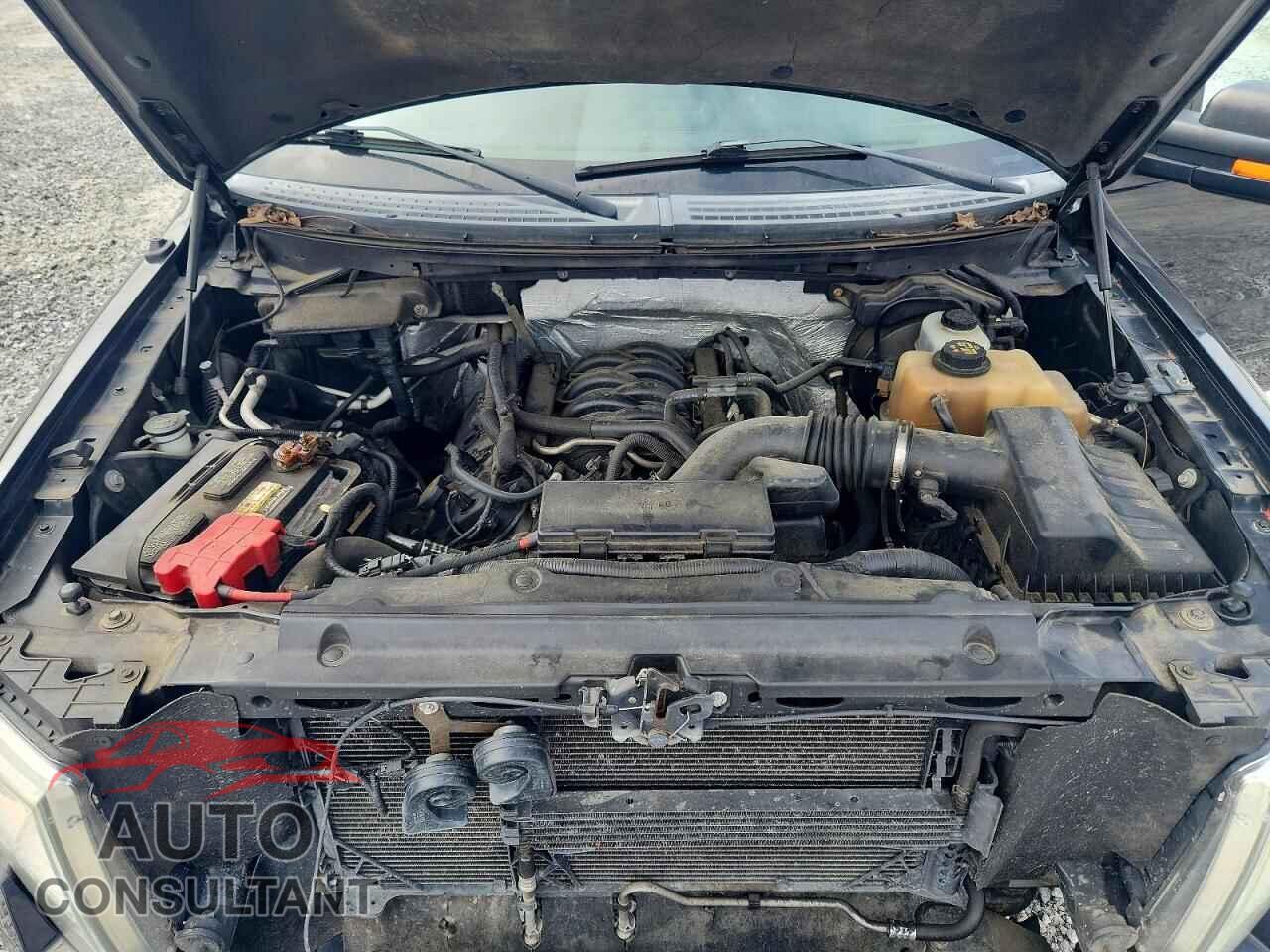 FORD F150 2012 - 1FTFX1EF4CFA45470