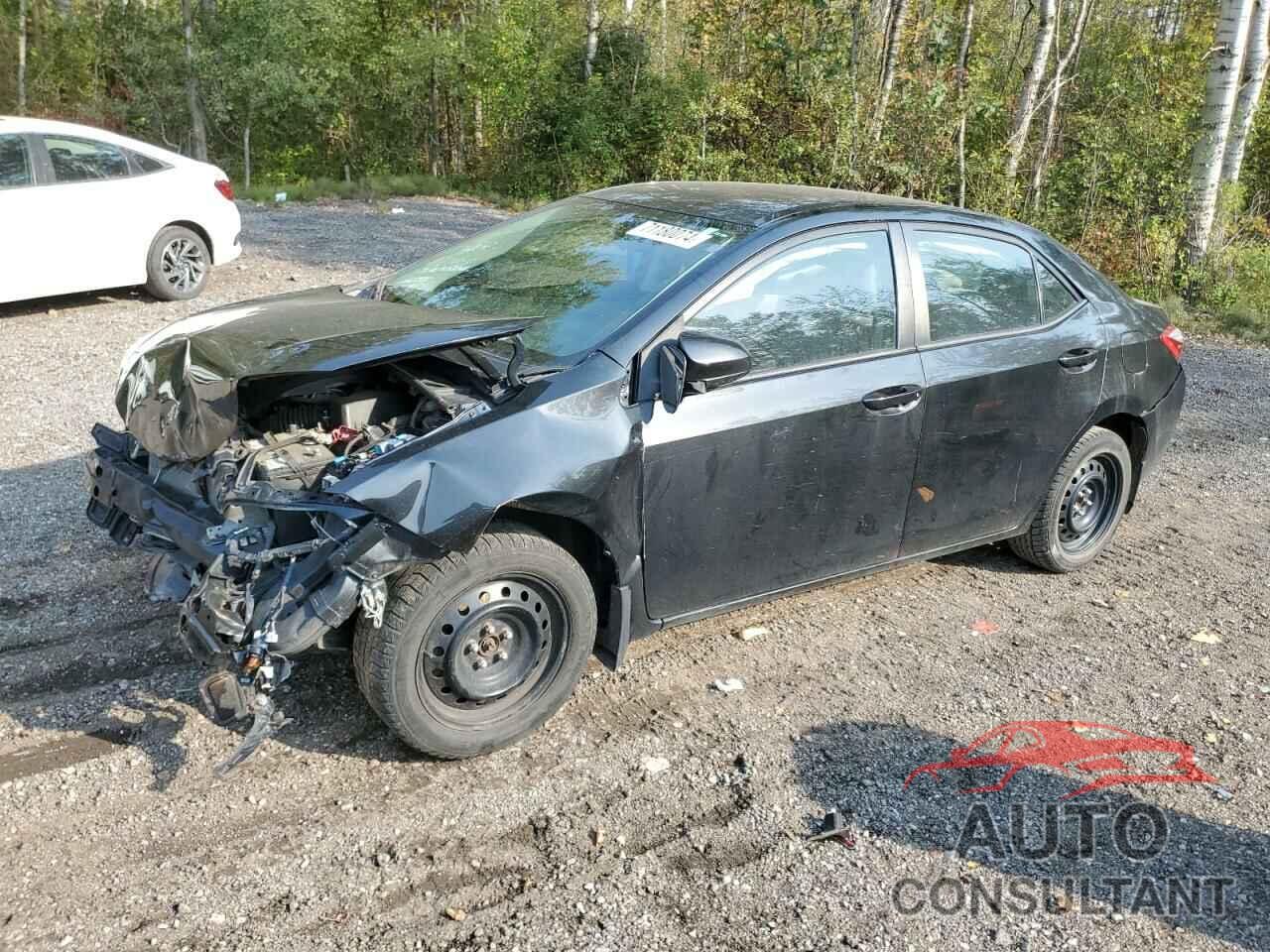 TOYOTA COROLLA 2016 - 2T1BURHE6GC687163