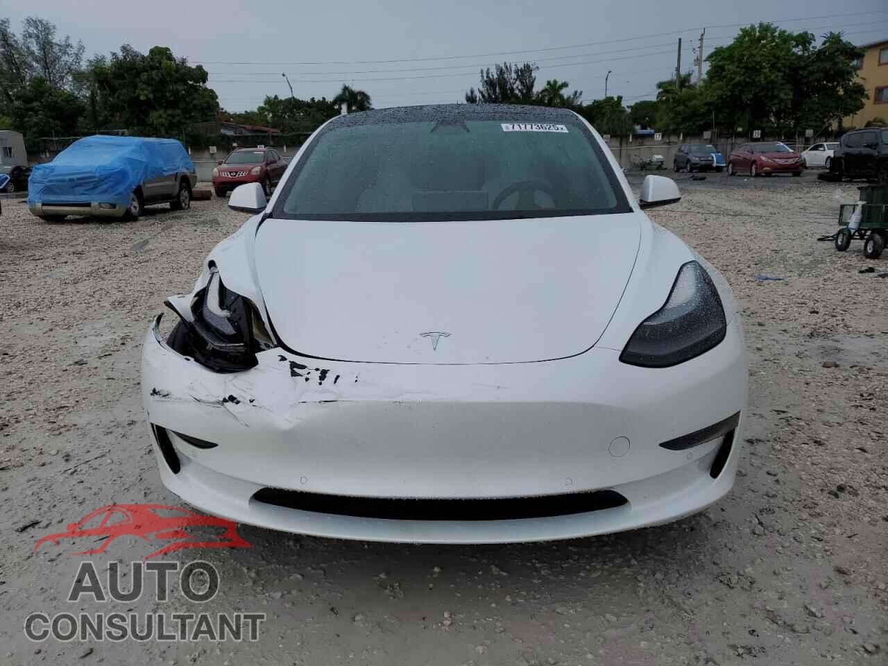 TESLA MODEL 3 2021 - 5YJ3E1EA2MF098543