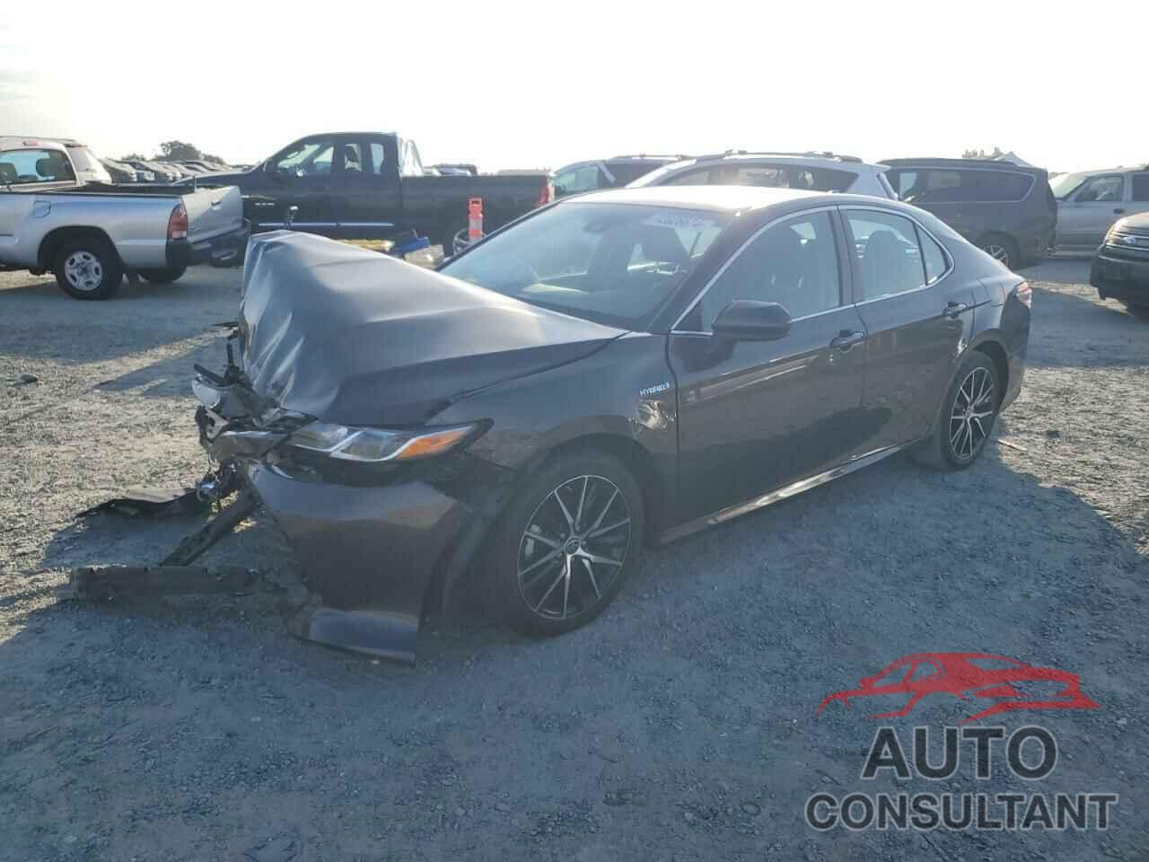 TOYOTA CAMRY 2019 - 4T1B31HK9KU510835