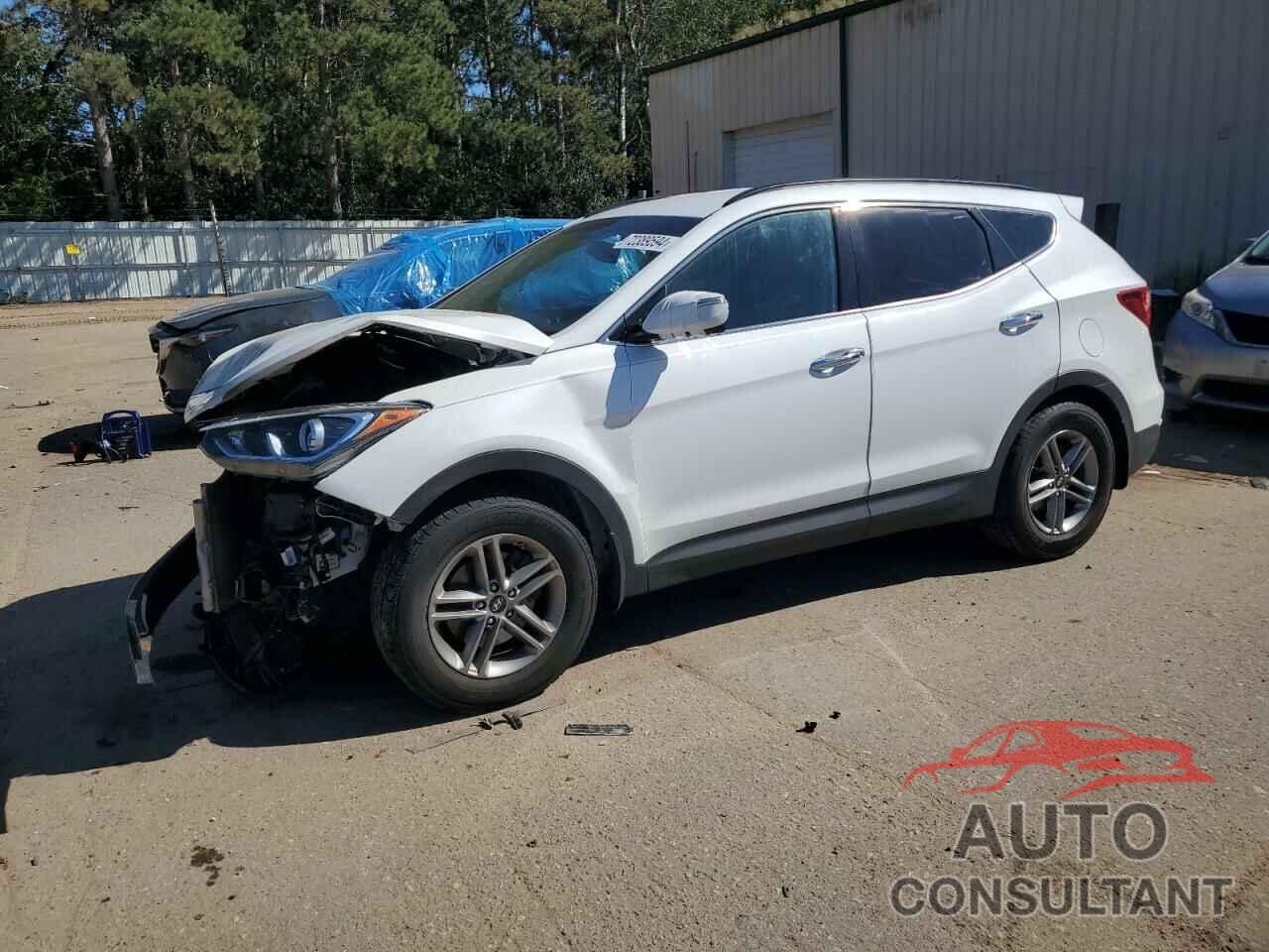 HYUNDAI SANTA FE 2017 - 5NMZUDLB7HH024971