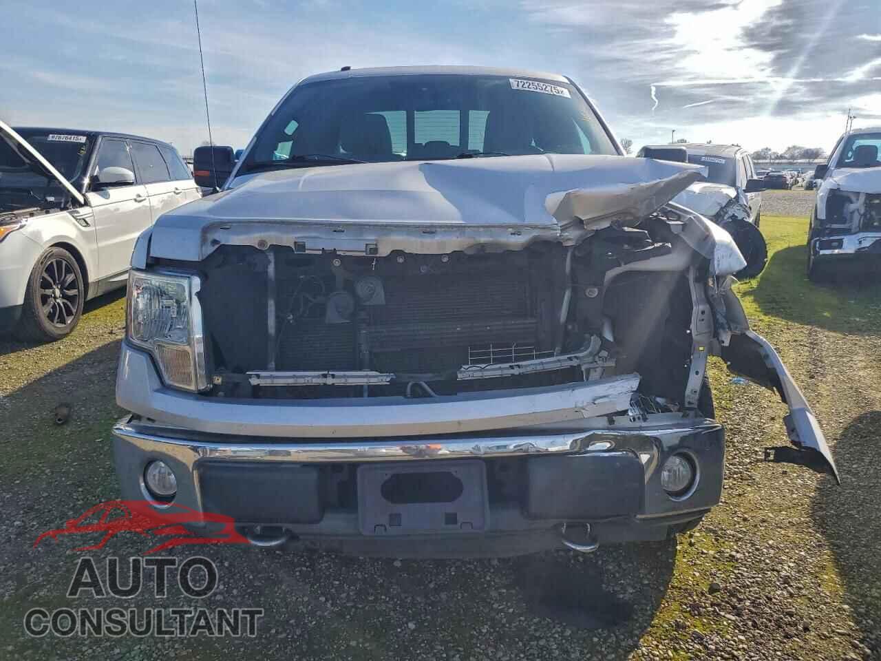 FORD F-150 2013 - 1FTFX1EF5DFD66743