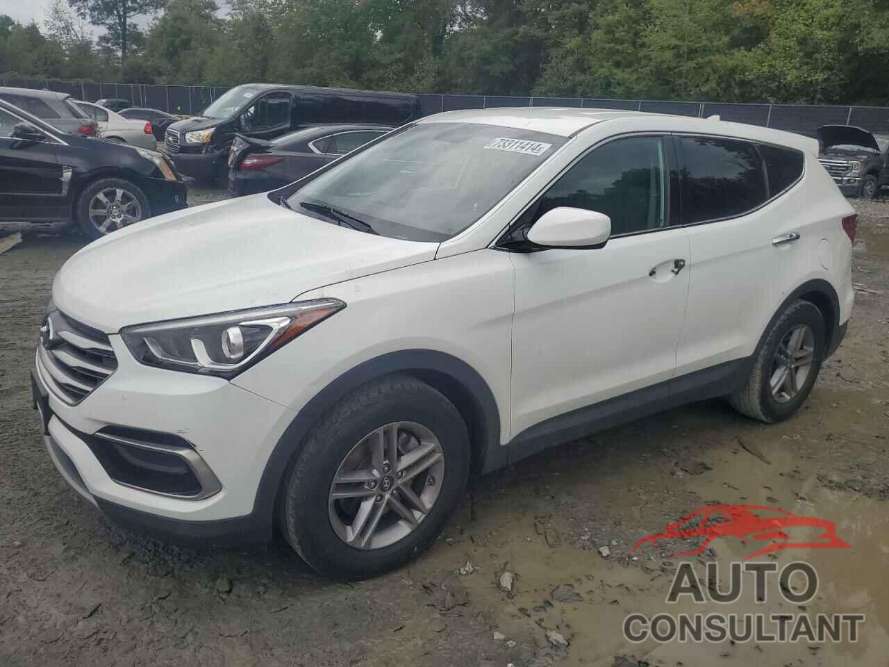 HYUNDAI SANTA FE 2017 - 5NMZT3LBXHH034939