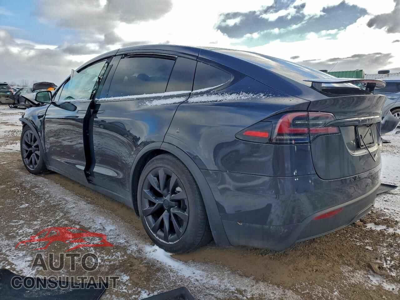 TESLA MODEL X 2024 - 7SAXCBE55RF435183