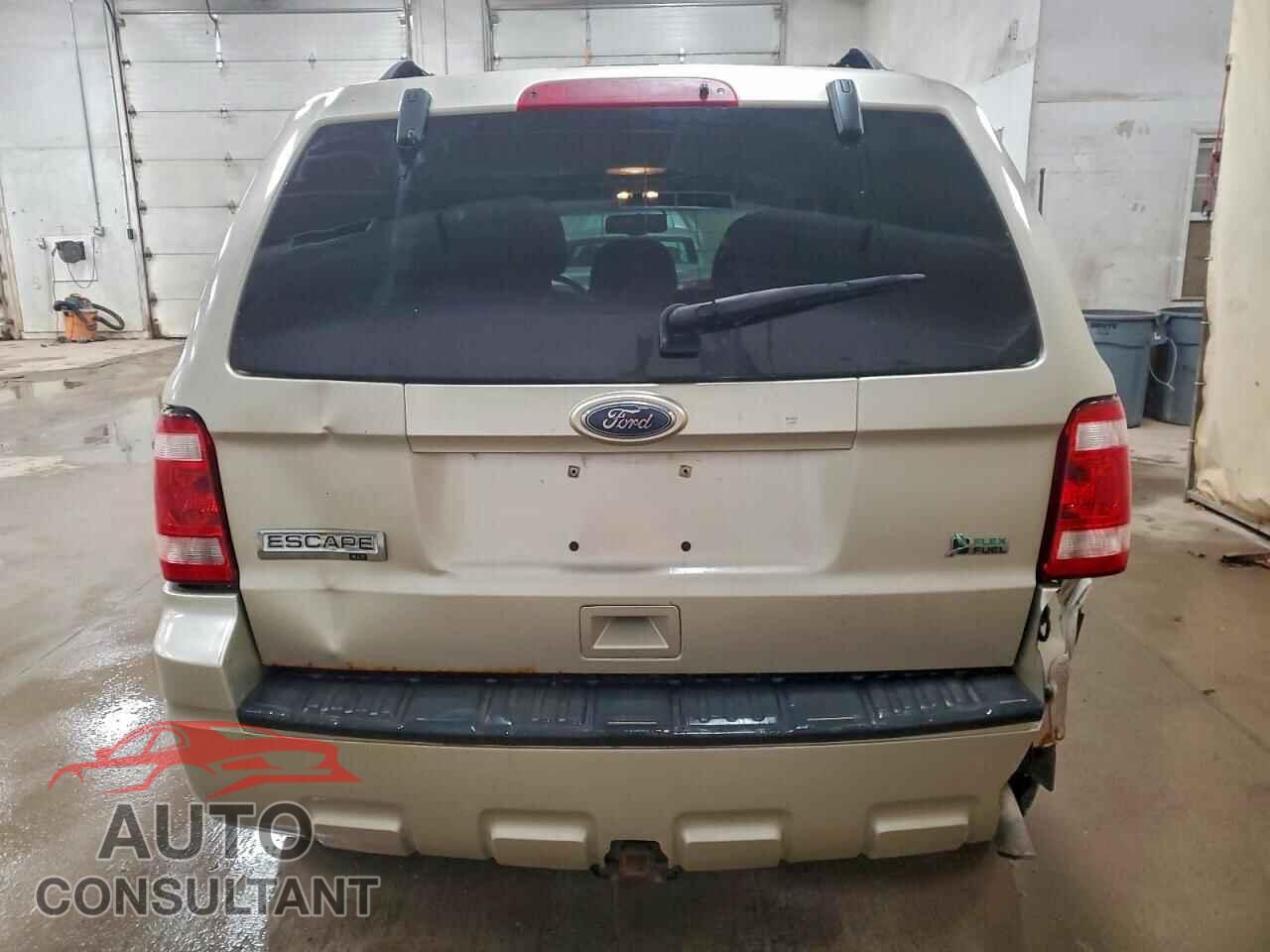 FORD ESCAPE 2010 - 1FMCU9DG2AKB10241