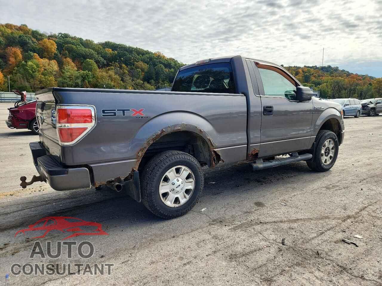 FORD F150 2013 - 1FTMF1EM7DKD44193