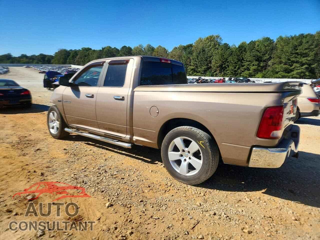 DODGE RAM 1500 2009 - 1D3HB18TX9S779353