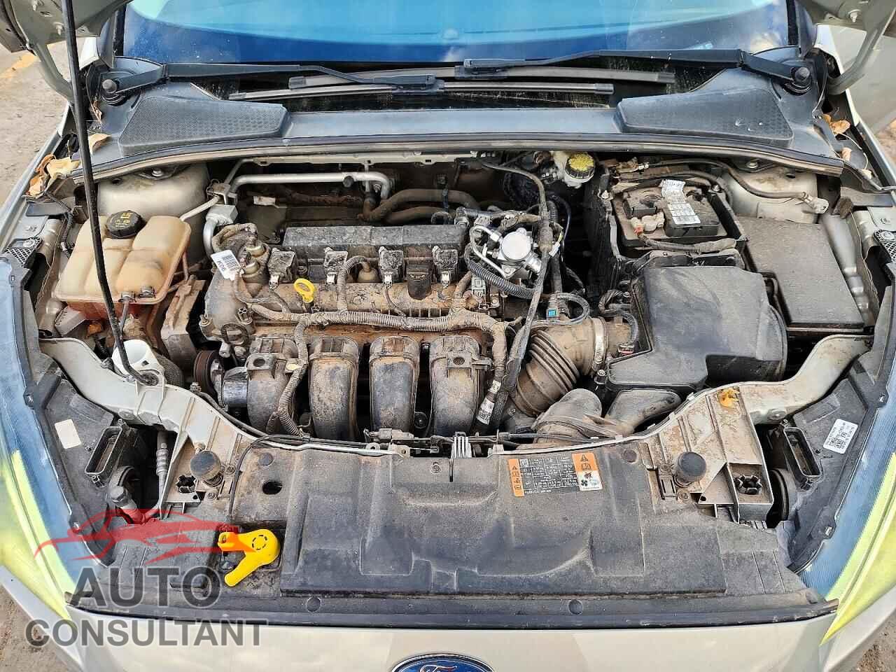 FORD FOCUS 2016 - 1FADP3F29GL374435