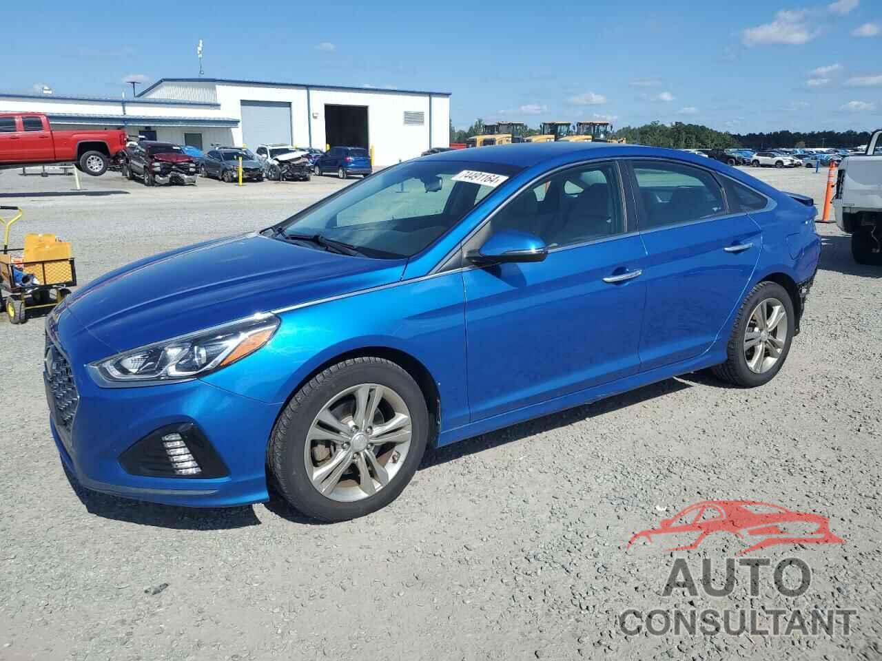 HYUNDAI SONATA 2019 - 5NPE34AF5KH776282