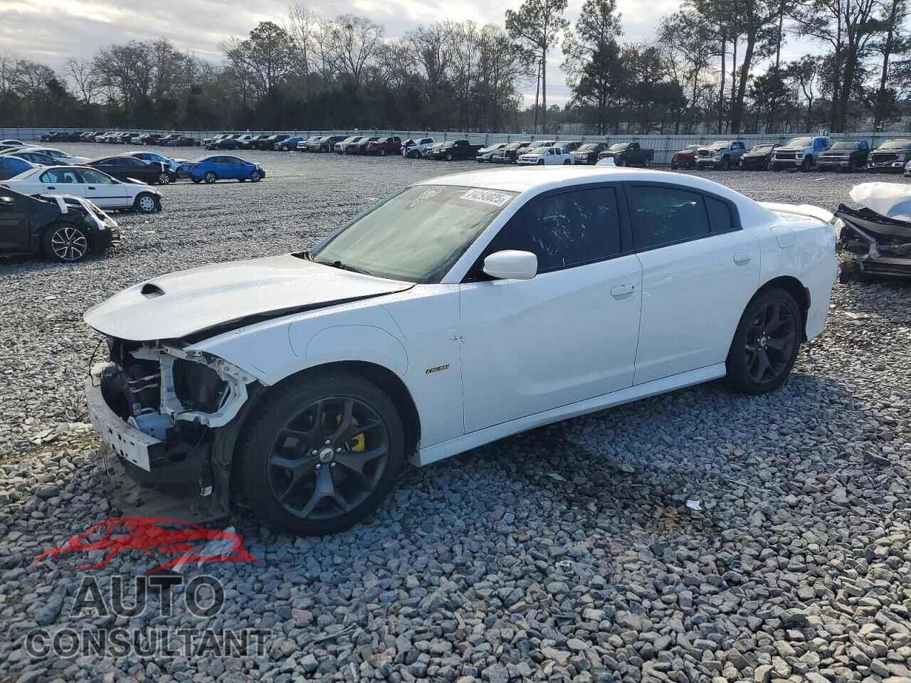 DODGE CHARGER 2019 - 2C3CDXCTXKH757202