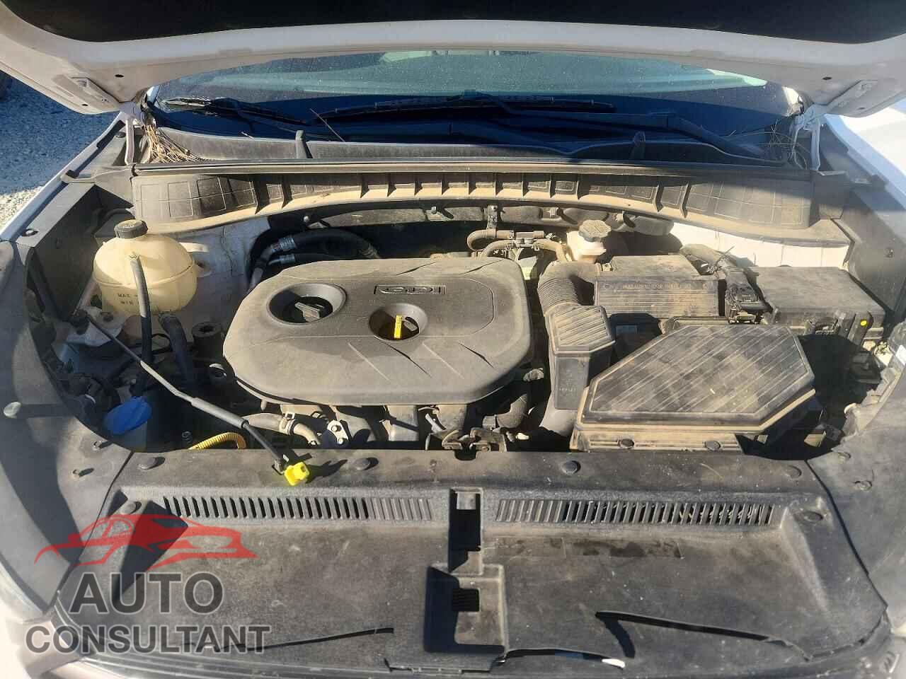 HYUNDAI TUCSON 2016 - KM8J23A43GU089255