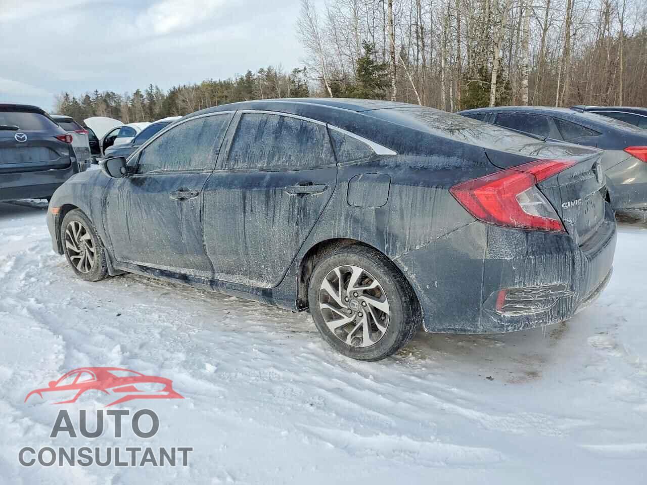 HONDA CIVIC 2019 - 2HGFC2F73KH035763