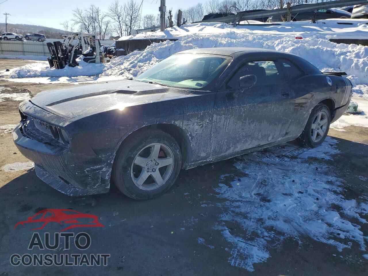 DODGE CHALLENGER 2010 - 2B3CJ4DV1AH289377