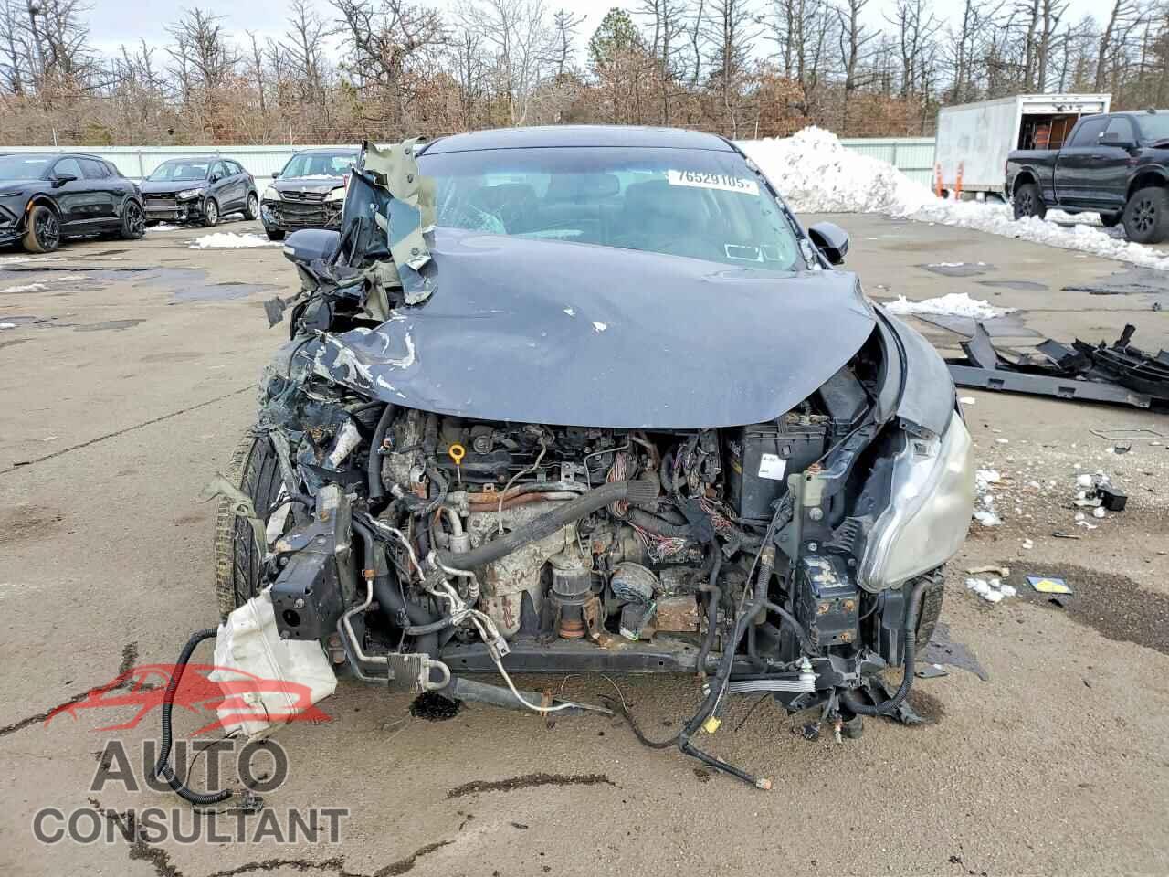 NISSAN MAXIMA 2009 - 1N4AA51E79C825530