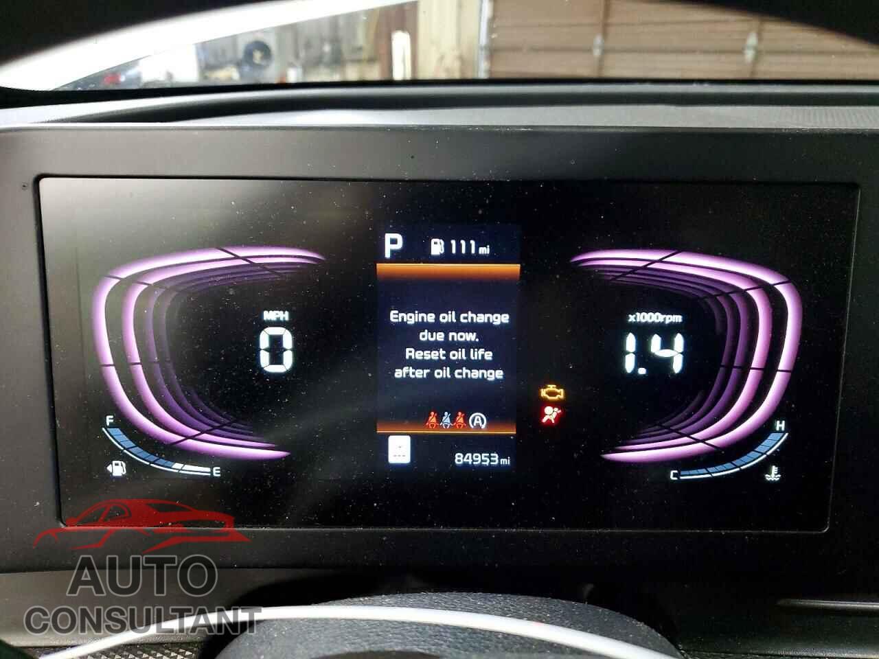 KIA SPORTAGE 2023 - KNDPUCAF5P7166314