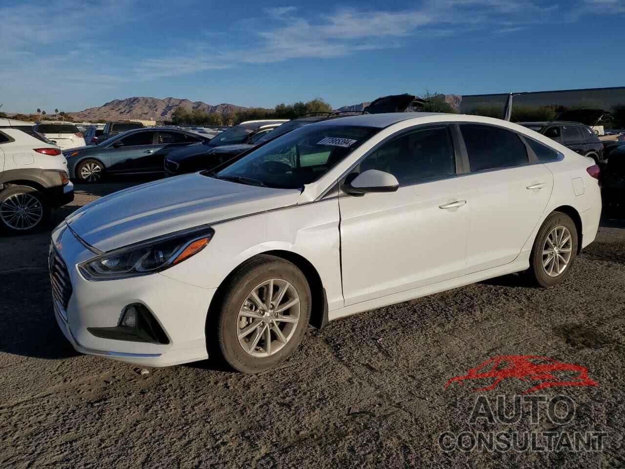 HYUNDAI SONATA 2019 - 5NPE24AF5KH808702