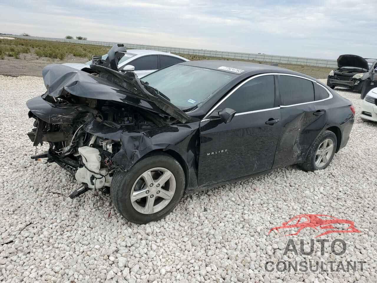 CHEVROLET MALIBU 2019 - 1G1ZB5ST5KF185743