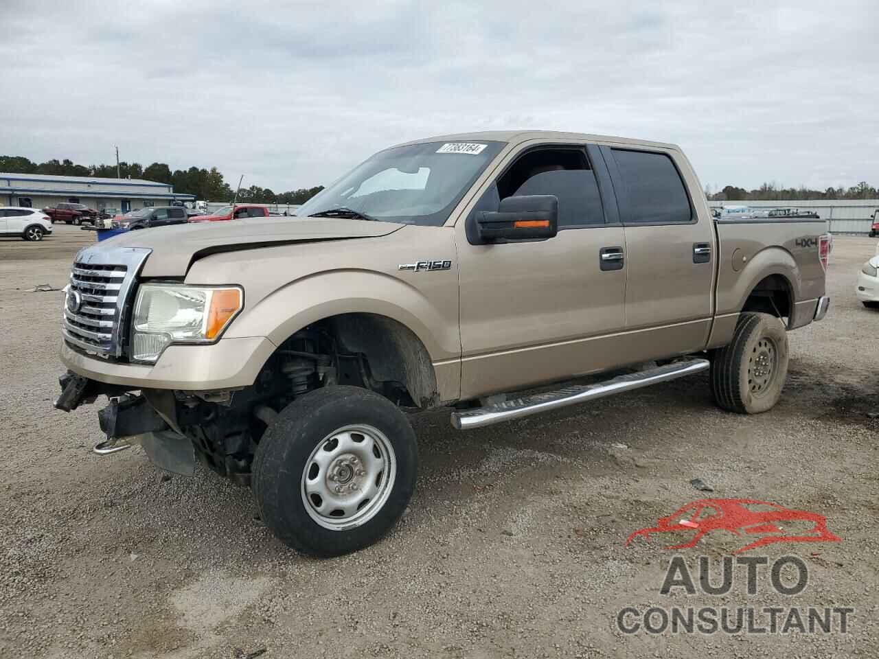 FORD F-150 2011 - 1FTFW1EF2BFB51319