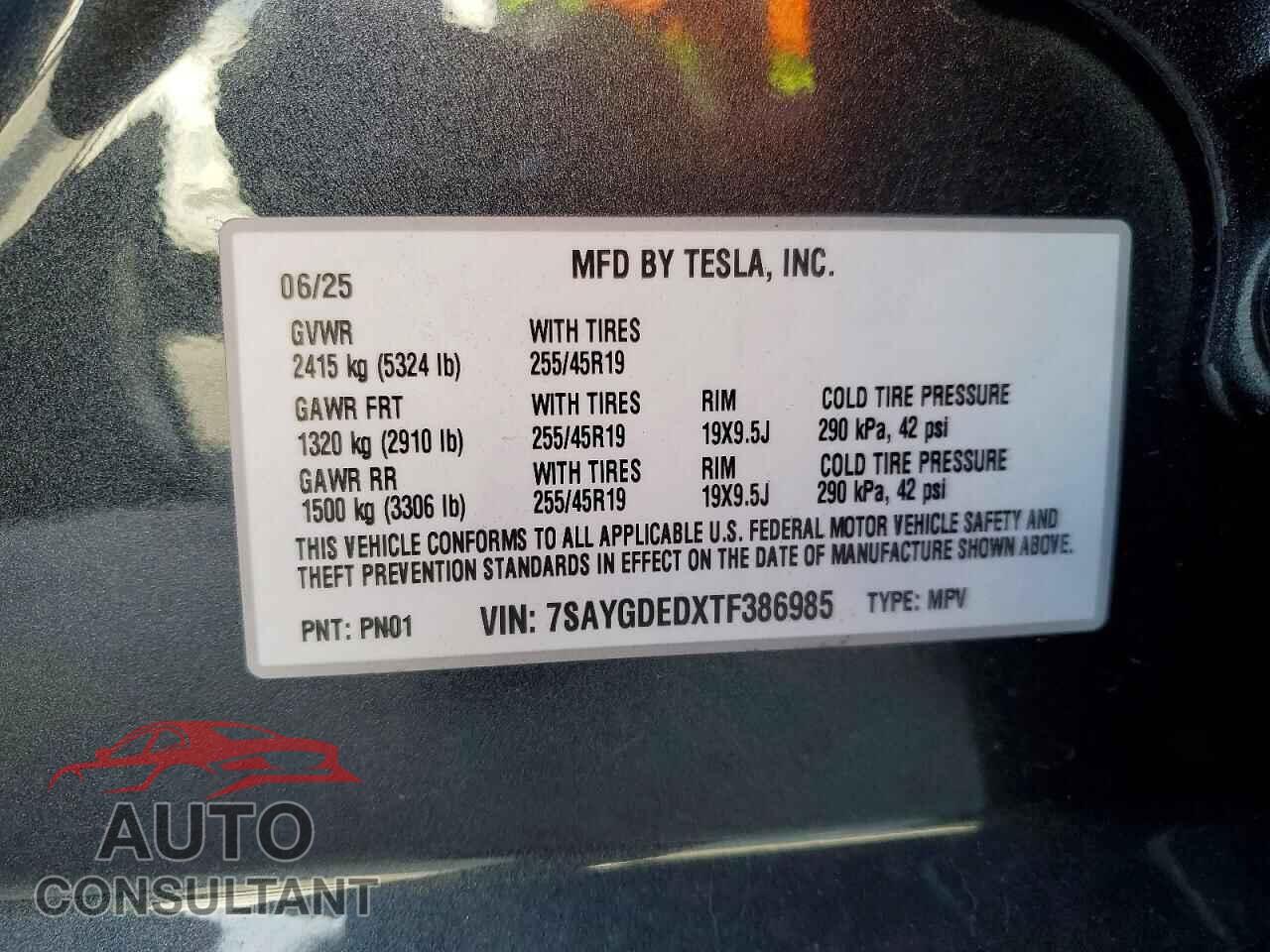 TESLA MODEL Y 2026 - 7SAYGDEDXTF386985