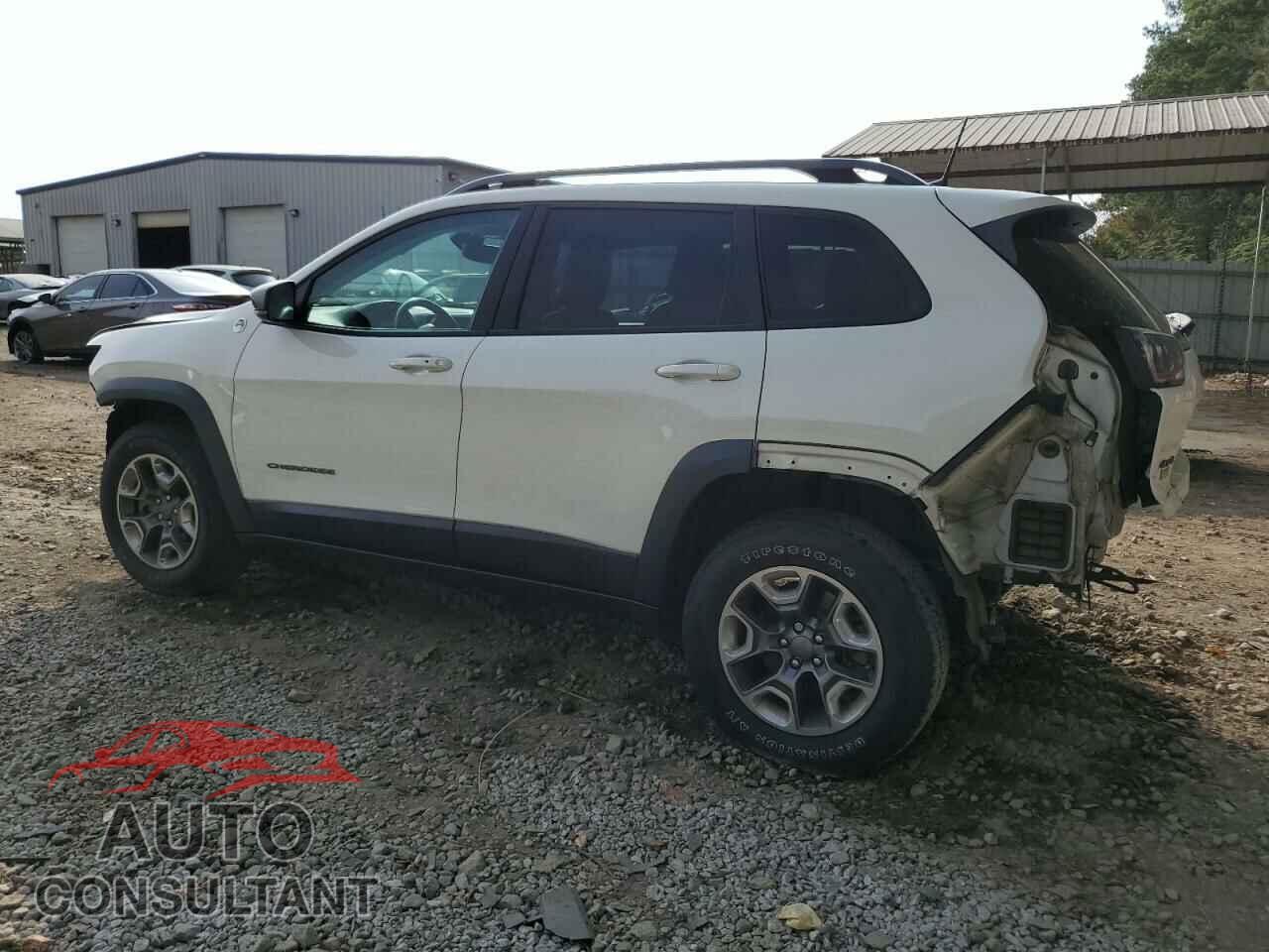 JEEP CHEROKEE 2019 - 1C4PJMBX4KD229337