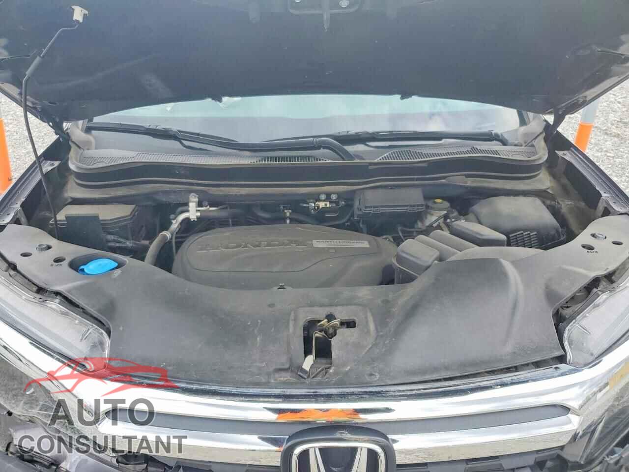 HONDA RIDGELINE 2019 - 5FPYK2F63KB003104