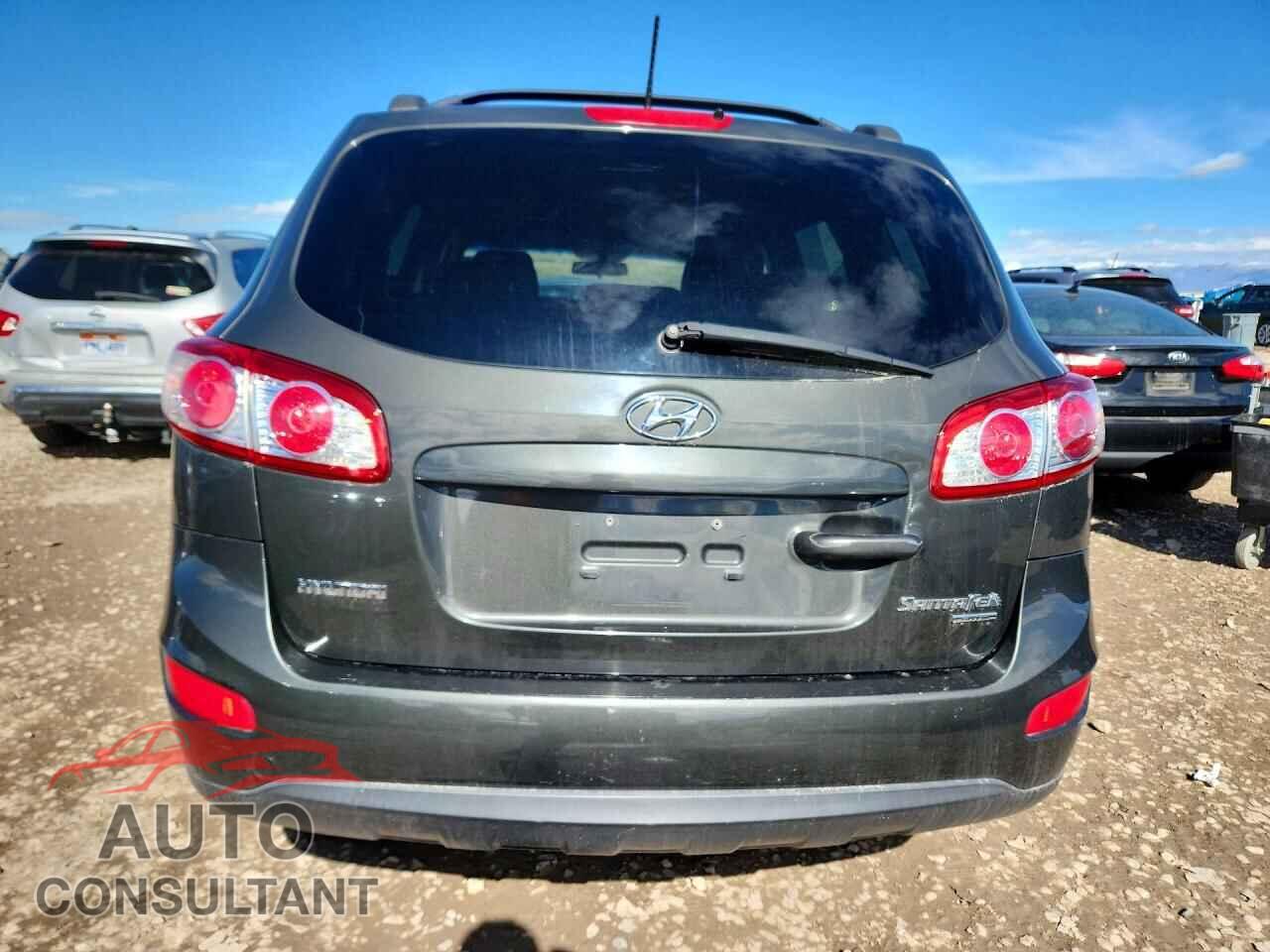 HYUNDAI SANTA FE 2010 - 5NMSGDAB3AH366435