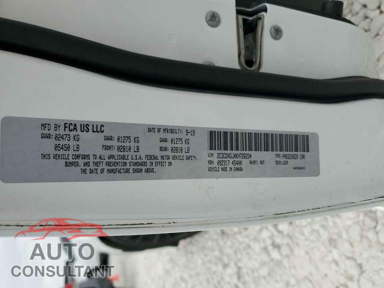DODGE CHARGER 2019 - 2C3CDXGJXKH726234