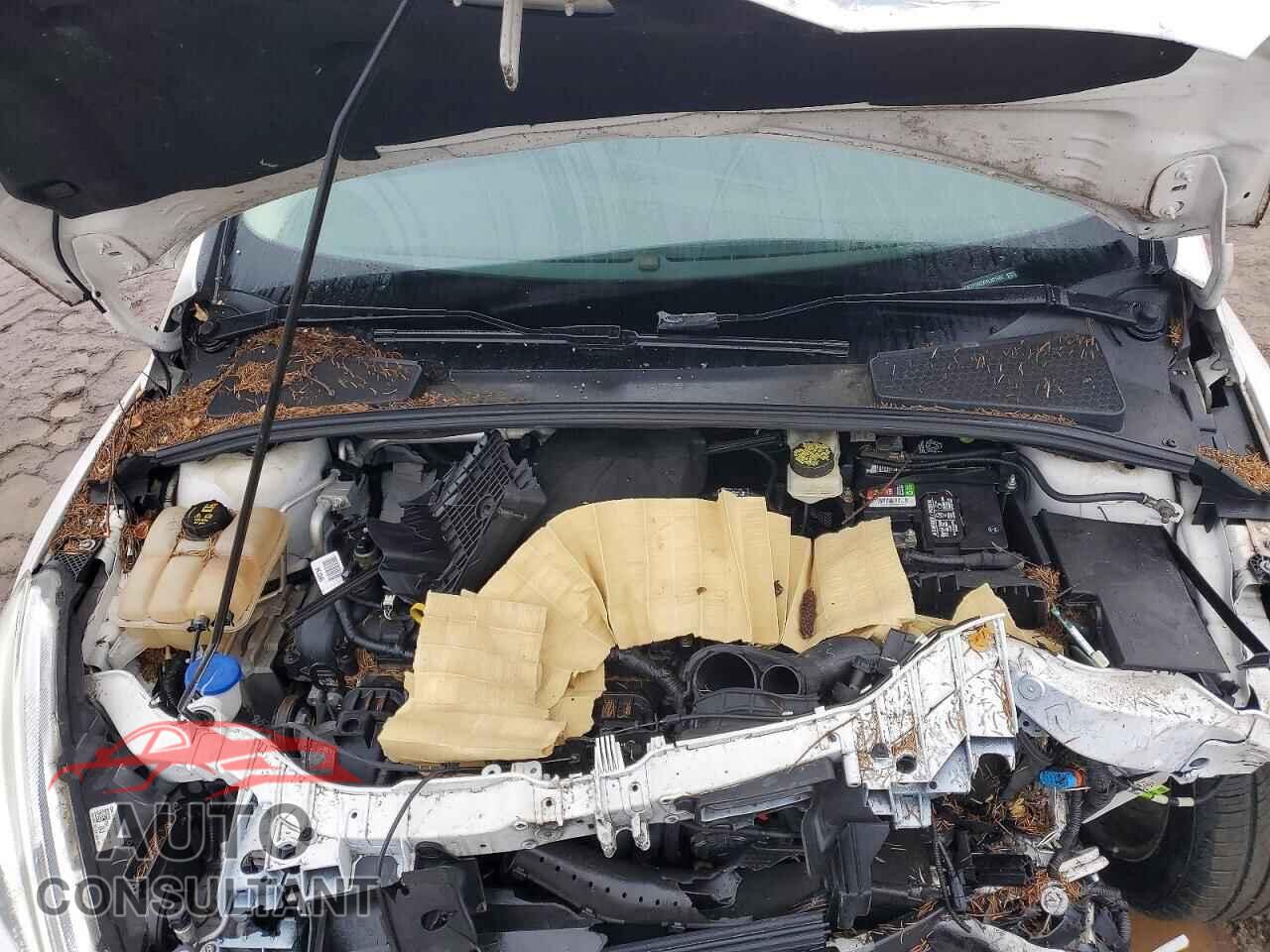 FORD FOCUS 2017 - 1FADP3N2XHL261662