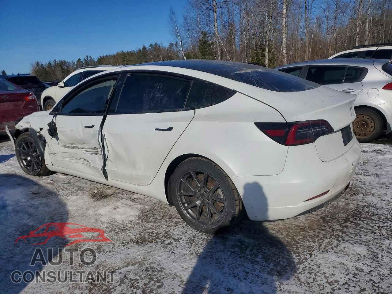 TESLA MODEL 3 2021 - 5YJ3E1EB5MF855783