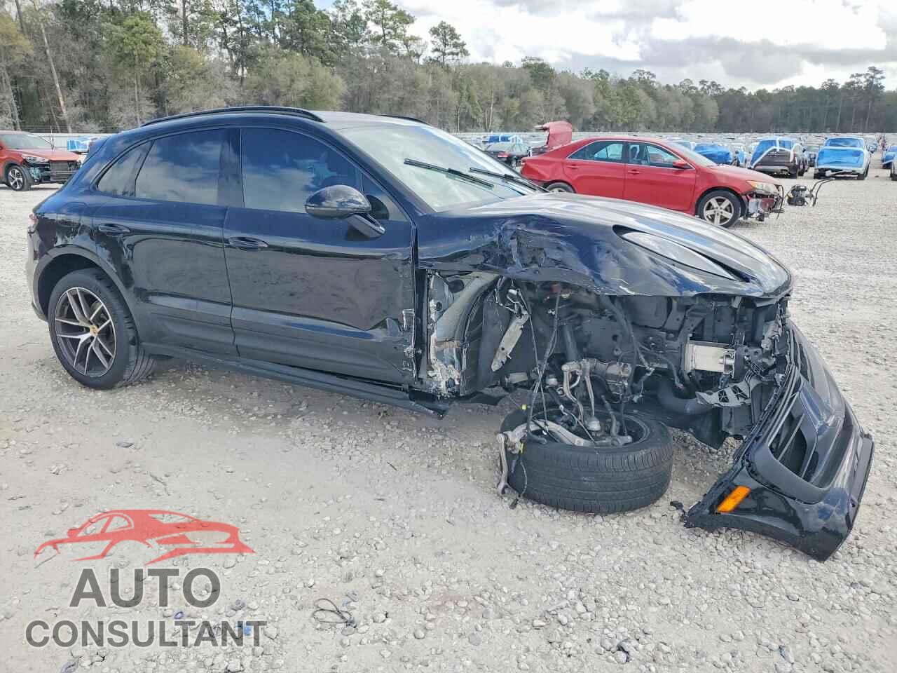 PORSCHE MACAN 2025 - WP1AA2A55SLB11263