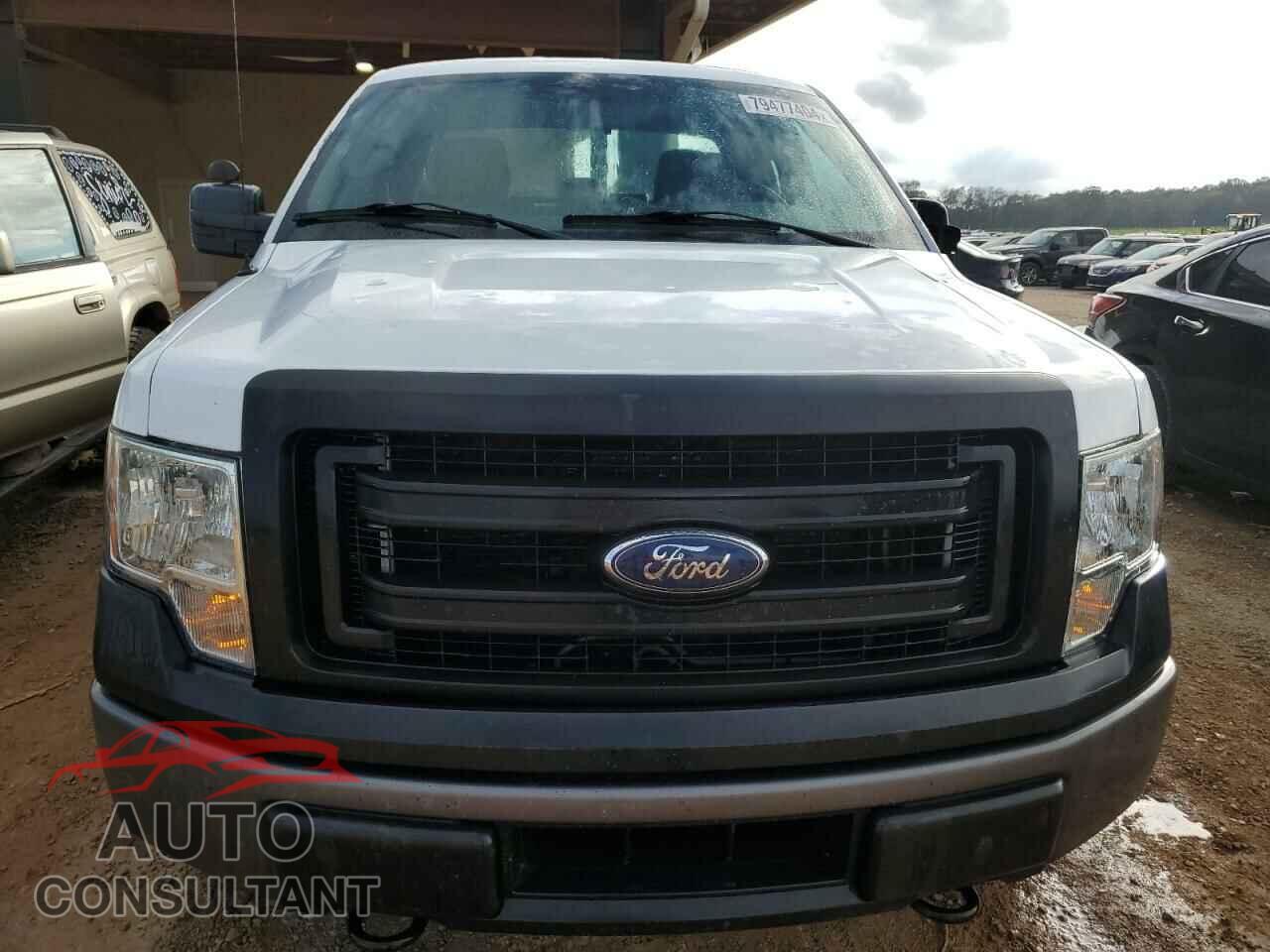 FORD F-150 2014 - 1FTFX1EFXEFC49452