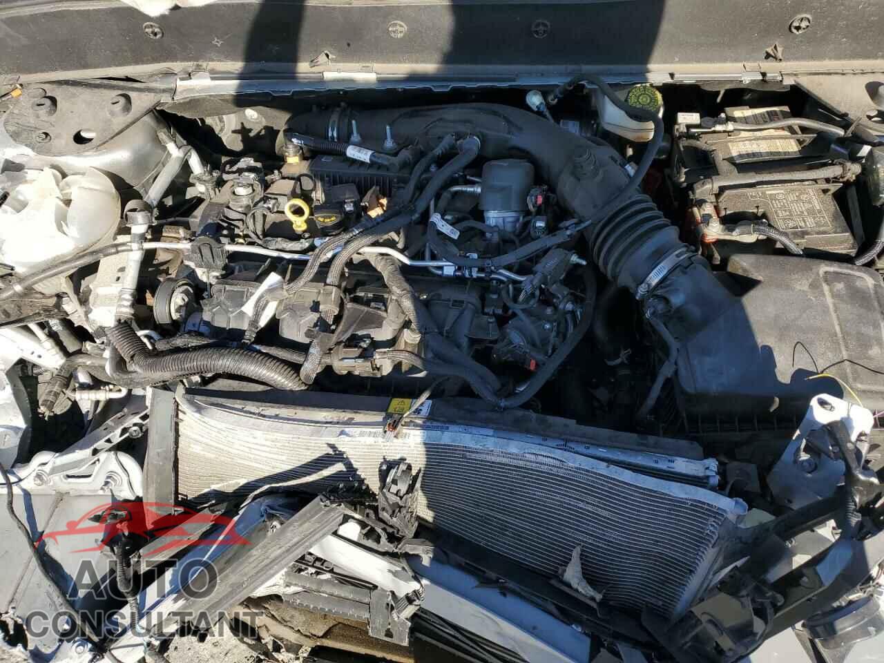 FORD BRONCO 2021 - 3FMCR9D93MRA06344