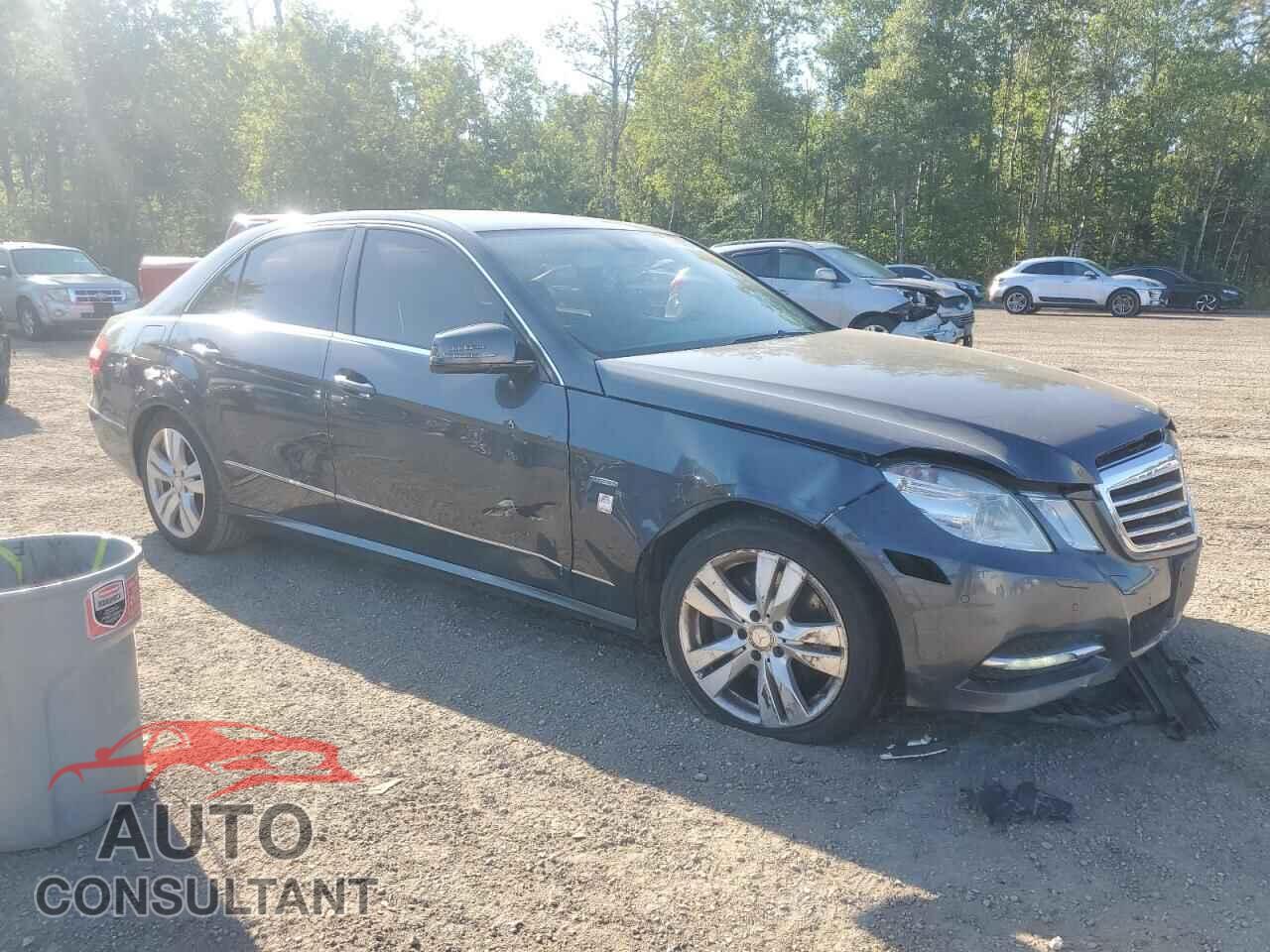 MERCEDES-BENZ E-CLASS 2012 - WDDHF82B4CA616299